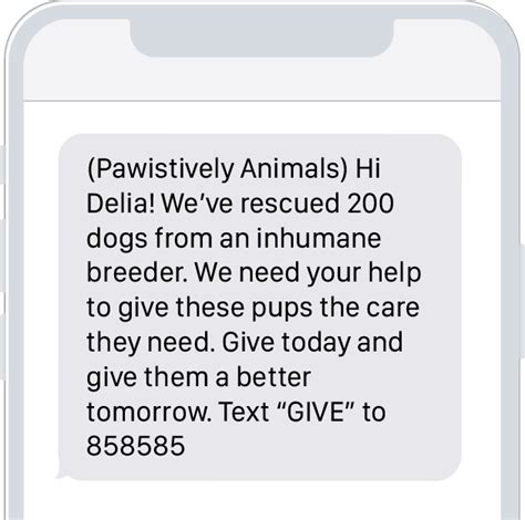 How to use SMS Fundraising for Your Nonprofit .